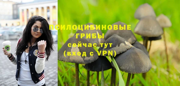 молекула духа Алексеевка