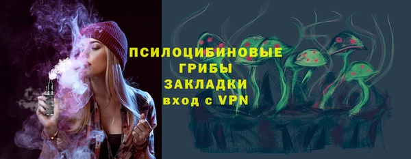 молекула духа Алексеевка
