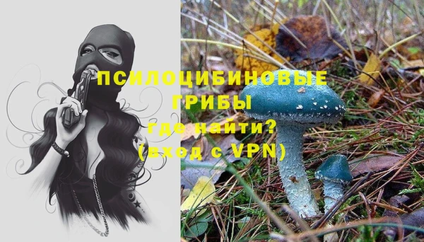 молекула духа Алексеевка