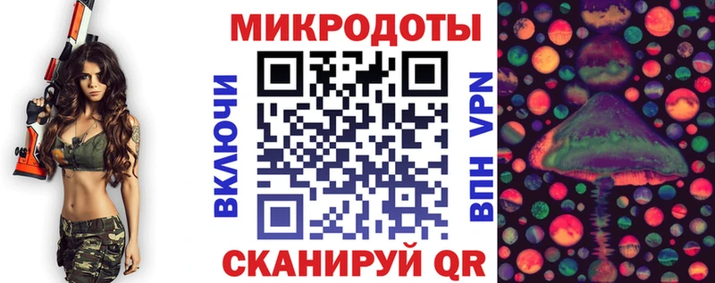 Псилоцибиновые грибы Psilocybe  Казань 